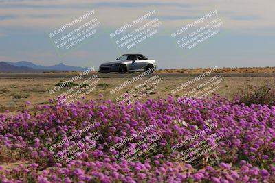 media/Jan-08-2023-SCCA SD (Sun) [[8f6a5b9391]]/Intermediate Group/Session 2 (Short Straight)/